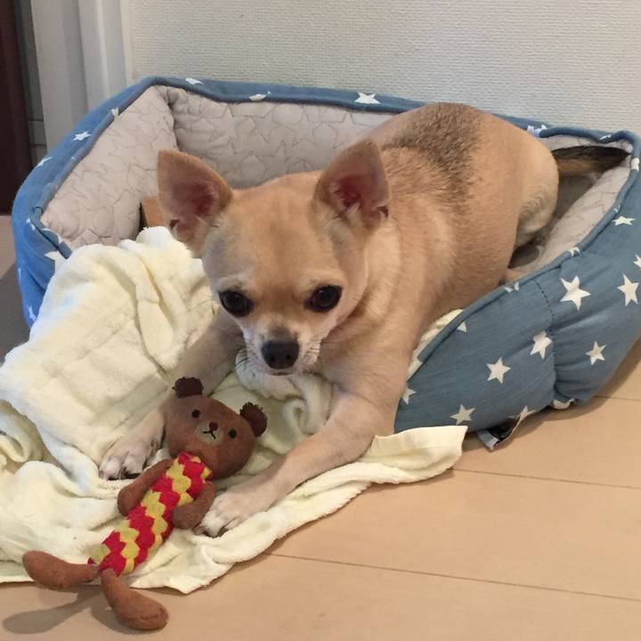 84d0f95d 5426 4f03 a112 a154abf3db09