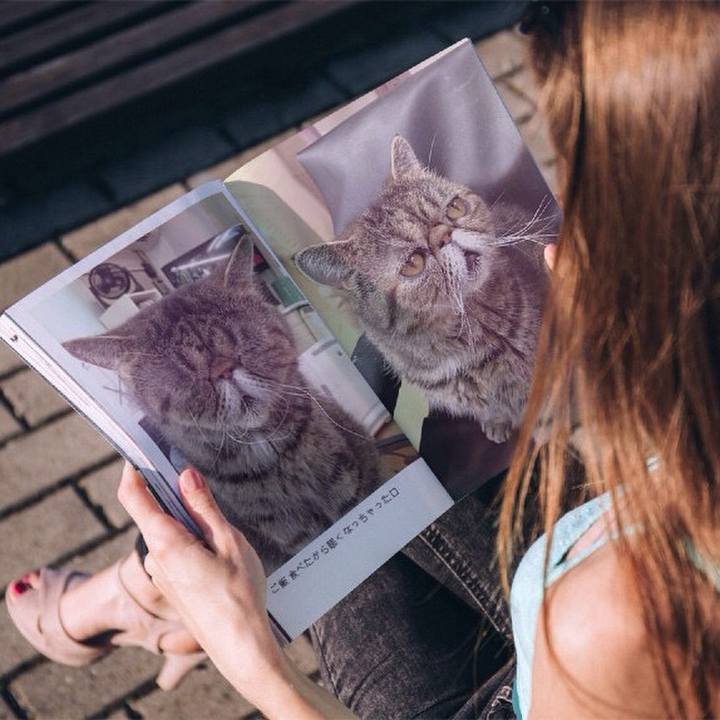 84d12003 ac96 4835 b2f9 b6f19c19e8a8