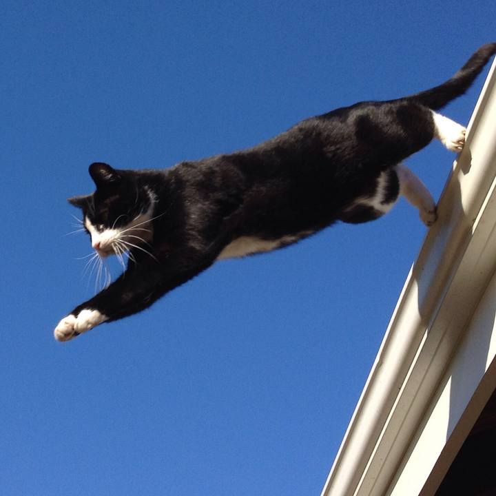 84d15ab2 efee 4d3d 82fd d384bc32e2c0