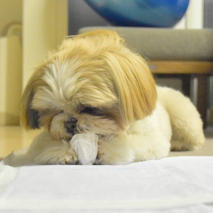 84d17ce0 74ff 466d bbb4 1a17c60b29dd