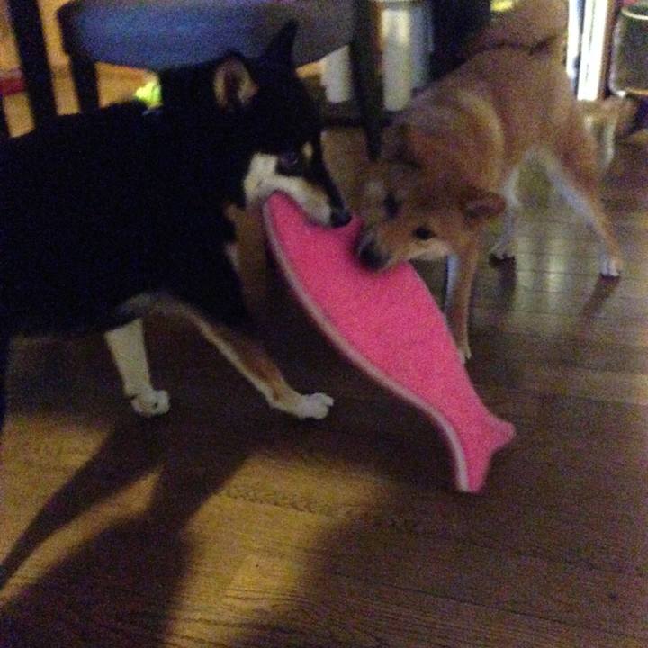 84d17f16 7011 4cf5 88a3 59f9e4cf65a2