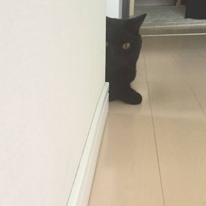 84d190b4 2ff2 4c58 adfa d558a286c677