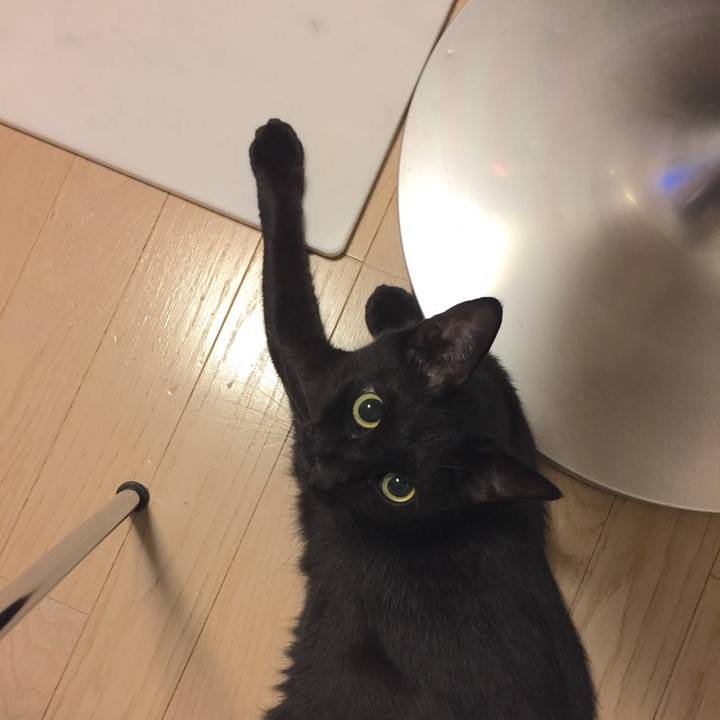 84d1a6e4 577c 4ade b9cf 9f23114d6fac