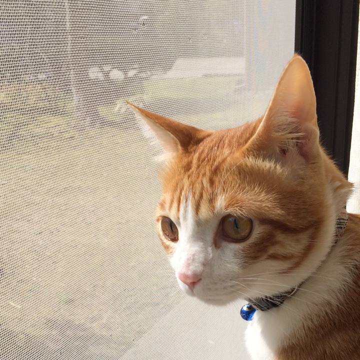 84d2910b c7ed 4ad9 b948 8e9cf366f3ad