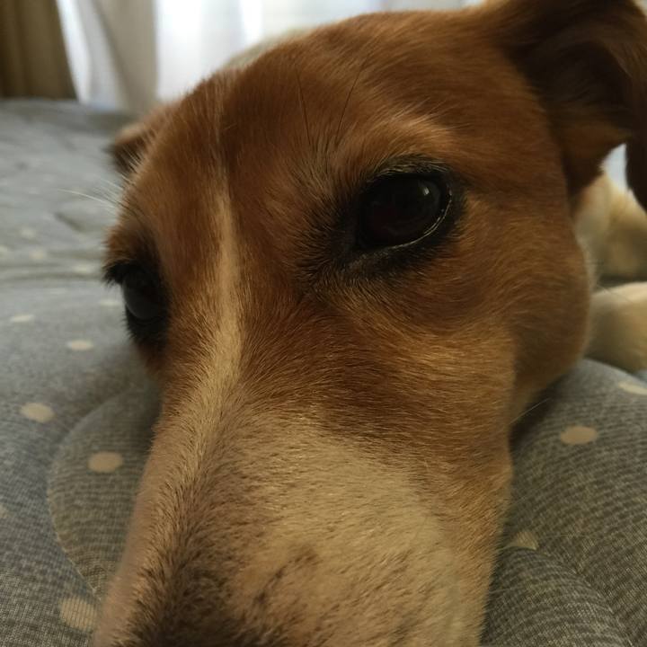 84d2f43b 20c3 4775 844c 3b3193f31015