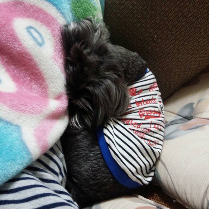 84d3cf03 d920 46ca 898d 59a333d9029a