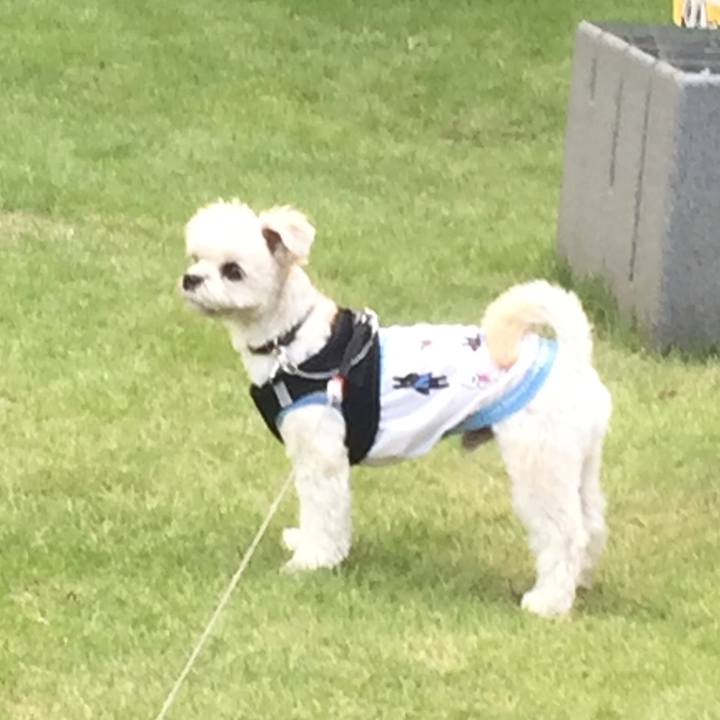 84d42e77 5da5 4055 b61c 3aea9c855f36