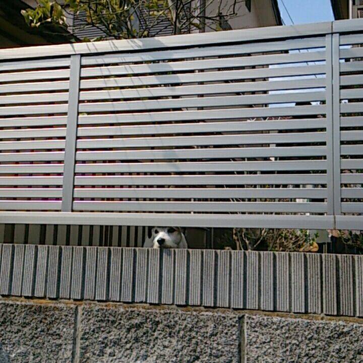 84d4343e 45e4 4e82 b76b 9d4c46440be1