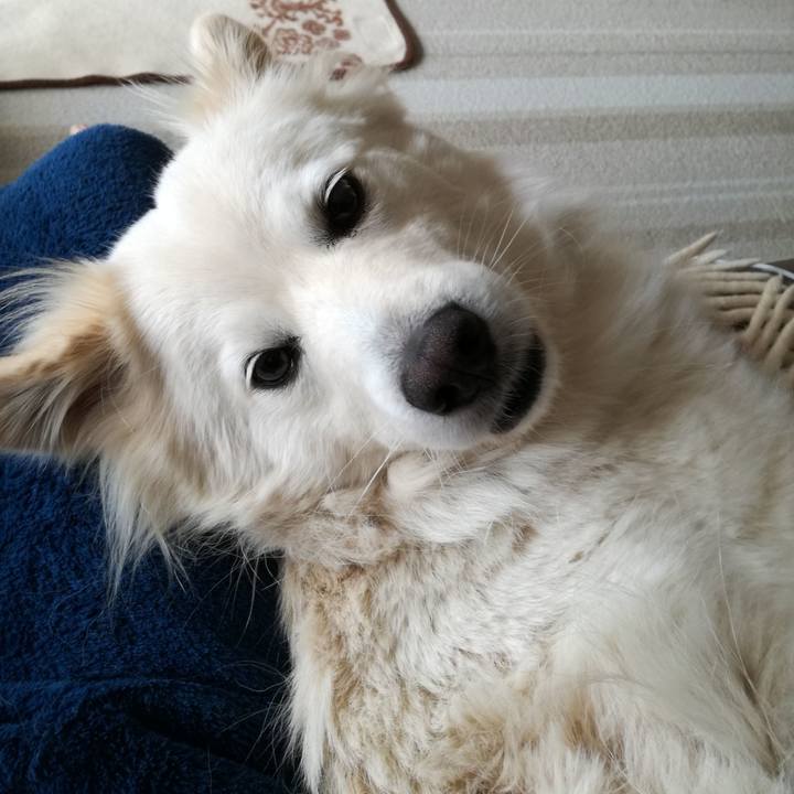 84d43db8 440f 4379 bea9 12dfef044c75