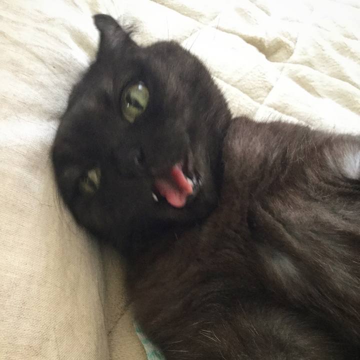 84d471d4 fe59 4384 a311 dea60e1d6d1b