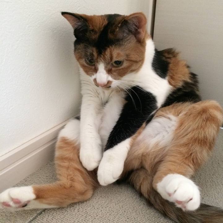 84d4799a fb4b 423d b19b c42c07d2ac9d