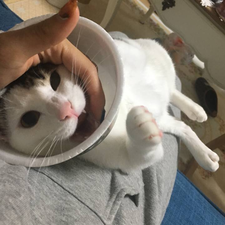 84d4b97b 2255 40db b24f 344cfe0da0ac