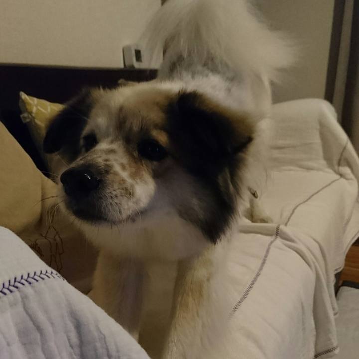 84d4c724 920f 4bfe b96e 982a6f713141