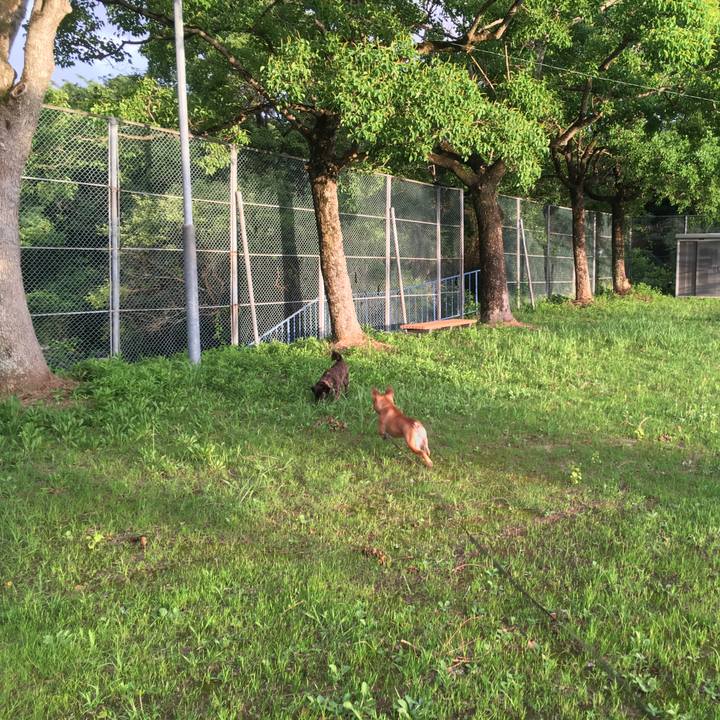 84d5af93 cca1 4df6 94cd 493f020bca93