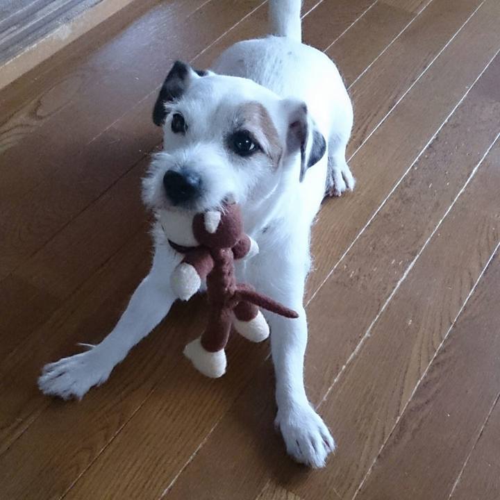 84d65c1e 4f95 4a1f b70c 04c18a617b5f