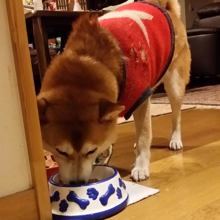 84d671b5 d281 4d12 85f8 6d056703f78c