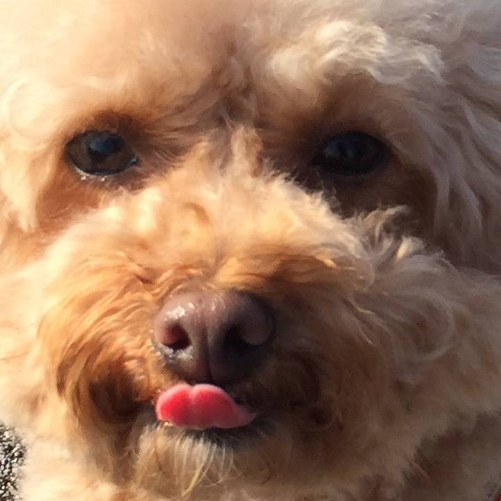 84d6c040 0363 433b 951f 8738081f5886