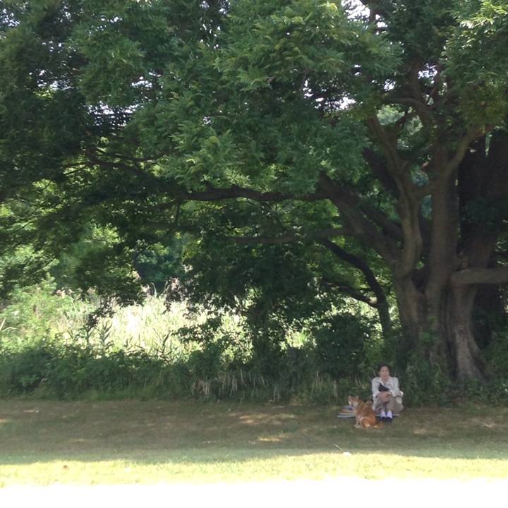 84d7228f f1c0 41b6 a05d 0711507e5a64