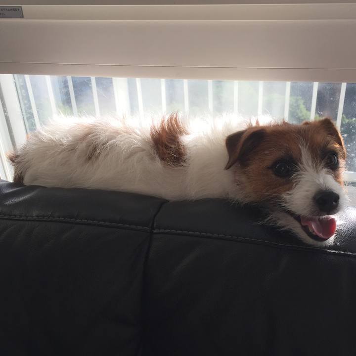 84d817c0 b4bc 4a62 bbdf 16d38ca6f1e1