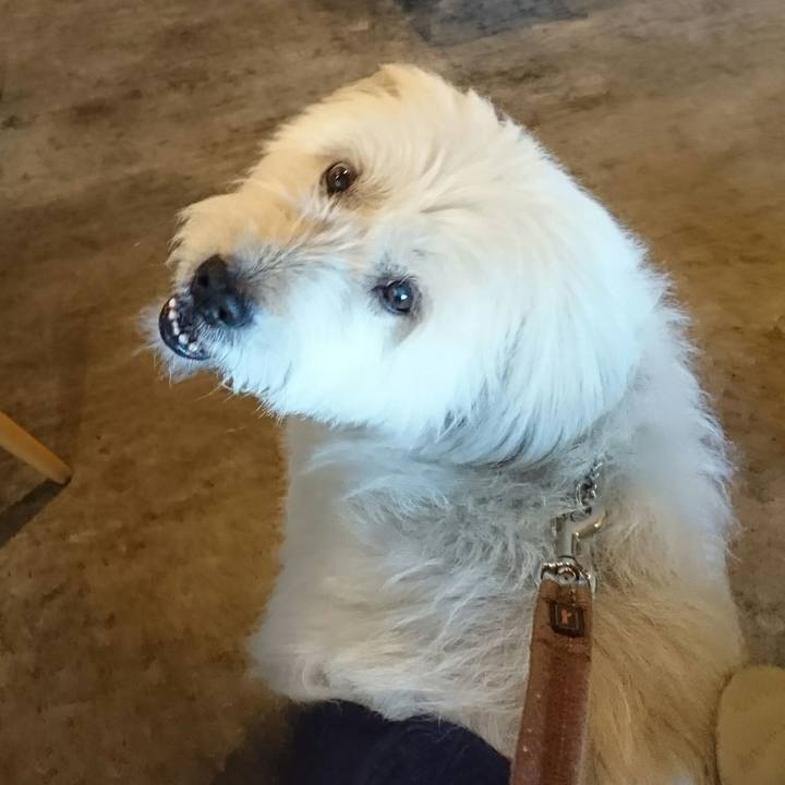 84d8188c 810d 4b77 b0f6 021625a50781