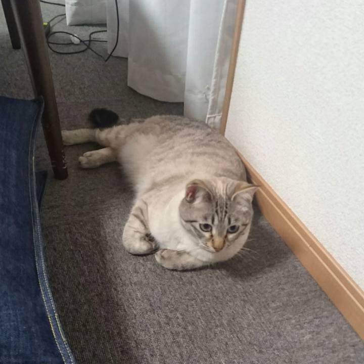 84d870ed 24f0 4c7e 95e6 0c035cc77096