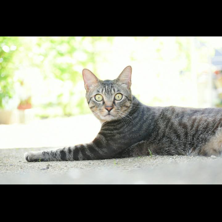 84d96ca3 5fd8 4d42 800e 75b639d08881