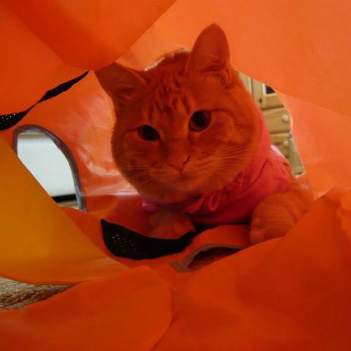 84da284e ac80 4ca4 9870 c9d8ce2f04d0