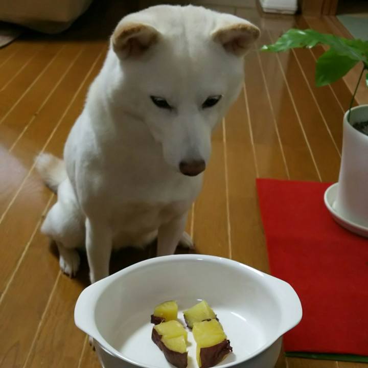 84da788e a497 4b89 b3d2 16bce866fa71