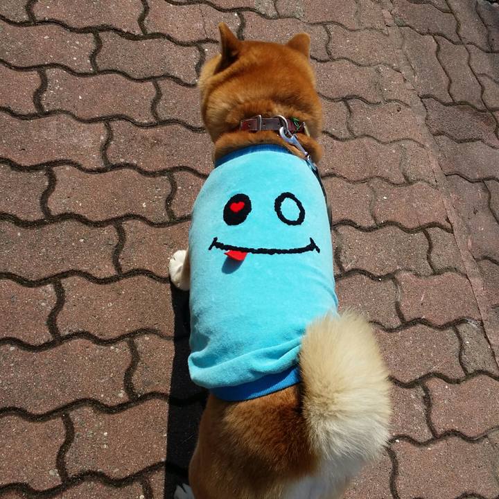 84dac7c5 1029 4628 8fd6 355168899a3b