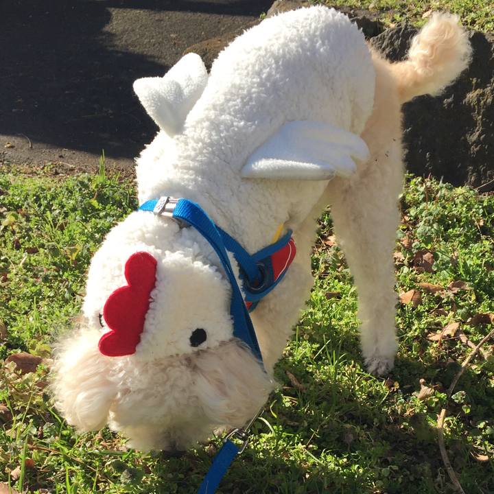 84db25ff 8a17 42c5 b041 319d8c572589