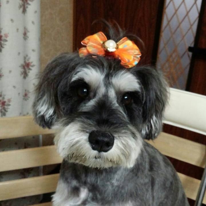 84dbb0d0 2b5c 4995 a8c8 0bba73ace084