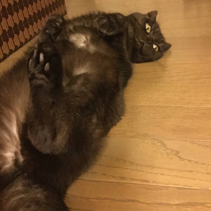 84dc67da 682c 4095 bd12 e9c9b5139920