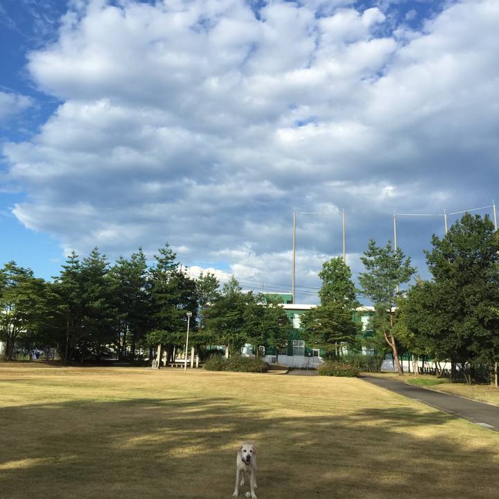 84dc73a7 6580 441b a193 7833433a4997