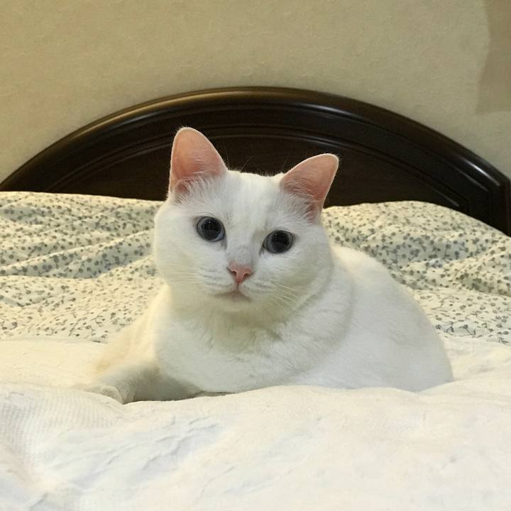 84dc79c4 ea68 499b be93 319bec457783