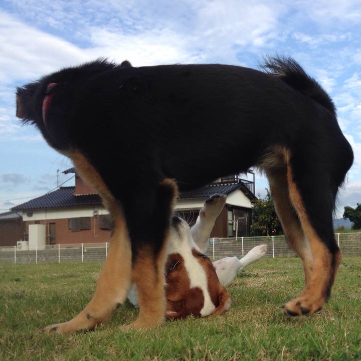 84dd3296 dbf7 46ac a953 ef30813cc464