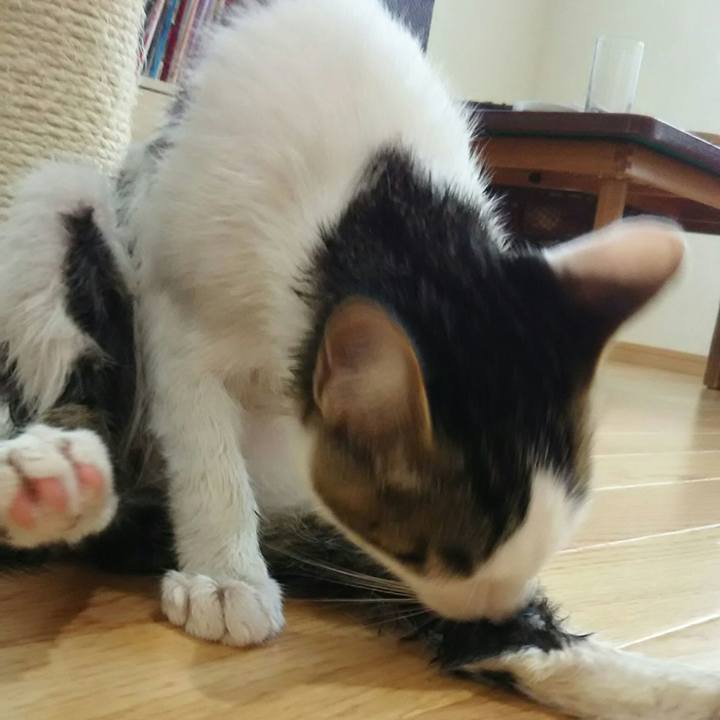 84ddf0a9 fc62 45f8 ad0a c8d33c4b96e6