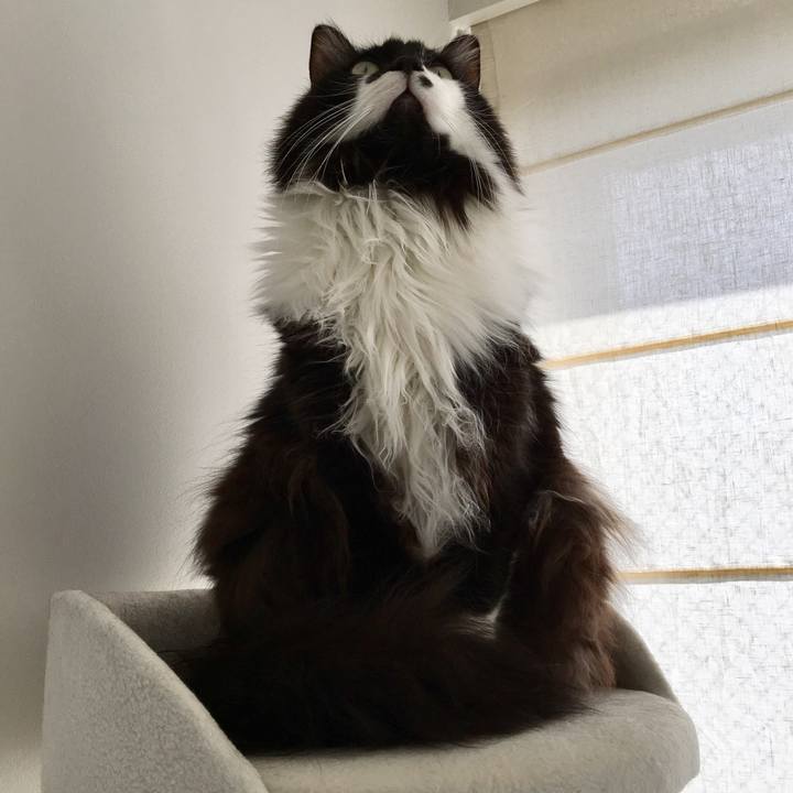 84de9cd6 5bfe 4d9c bc21 66a4cbd2a4ac