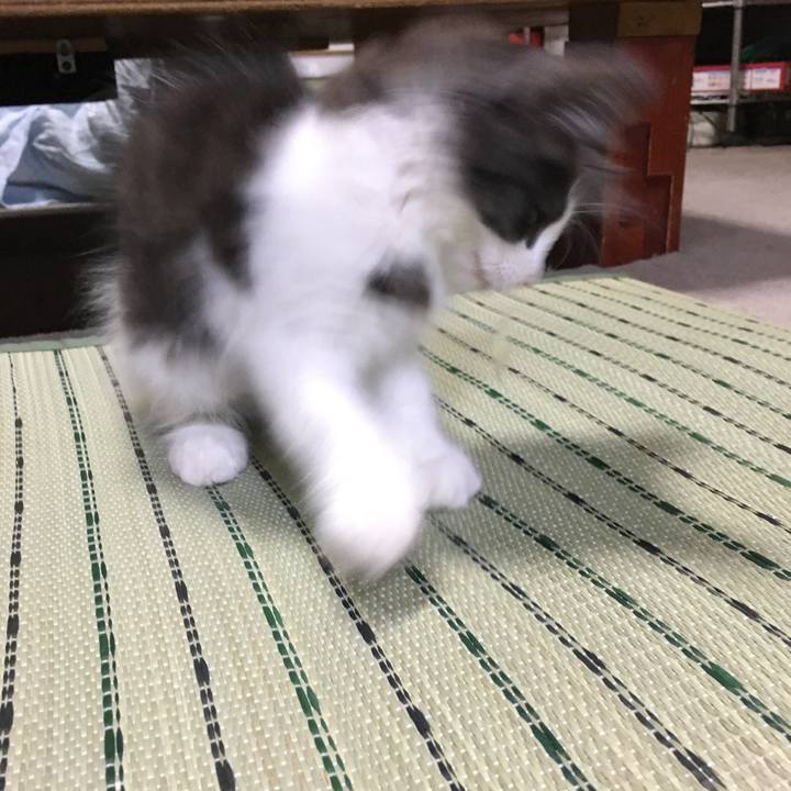 84ded6fb 3fe6 438e a74b b6c6f6dba8fe