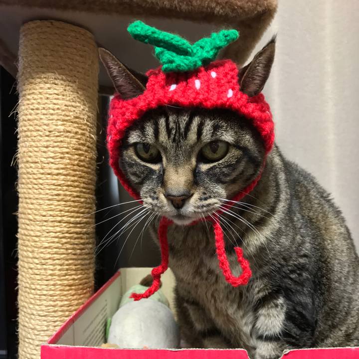 84ded8ad be4f 4c4d 84f3 4b800cf5a168