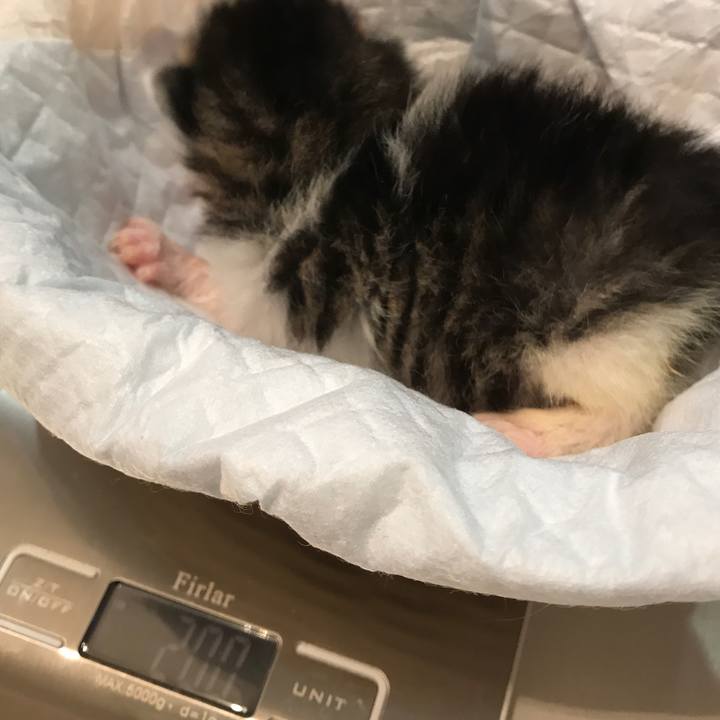 84dee04c d043 491d bb95 d1779296d4b3