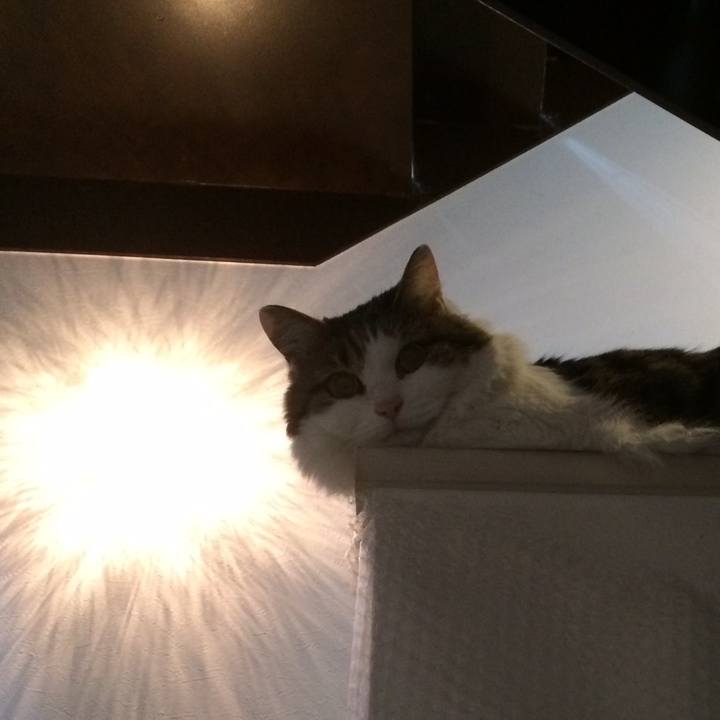 84def796 811b 42bb a7ac 041ca8595e3b