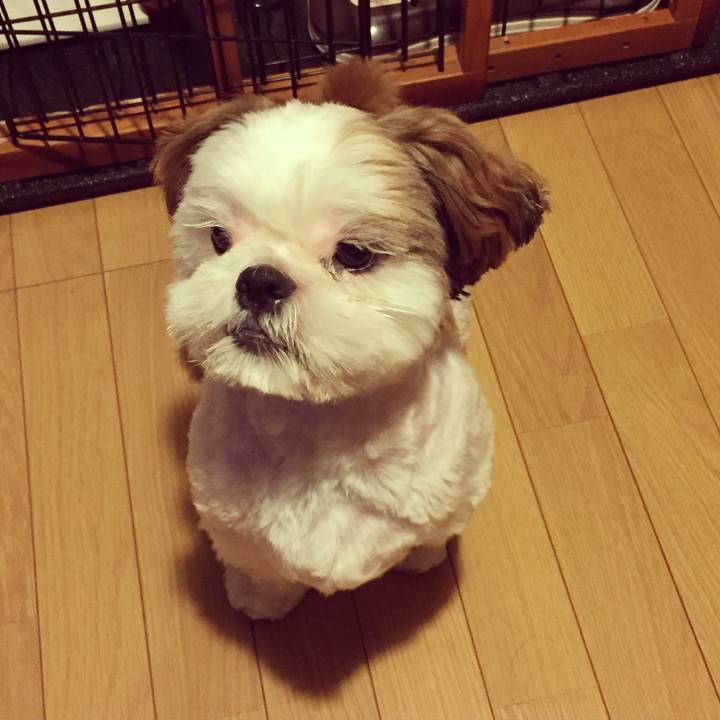 84dfae81 f4e1 4ba1 a963 3039f45e3398