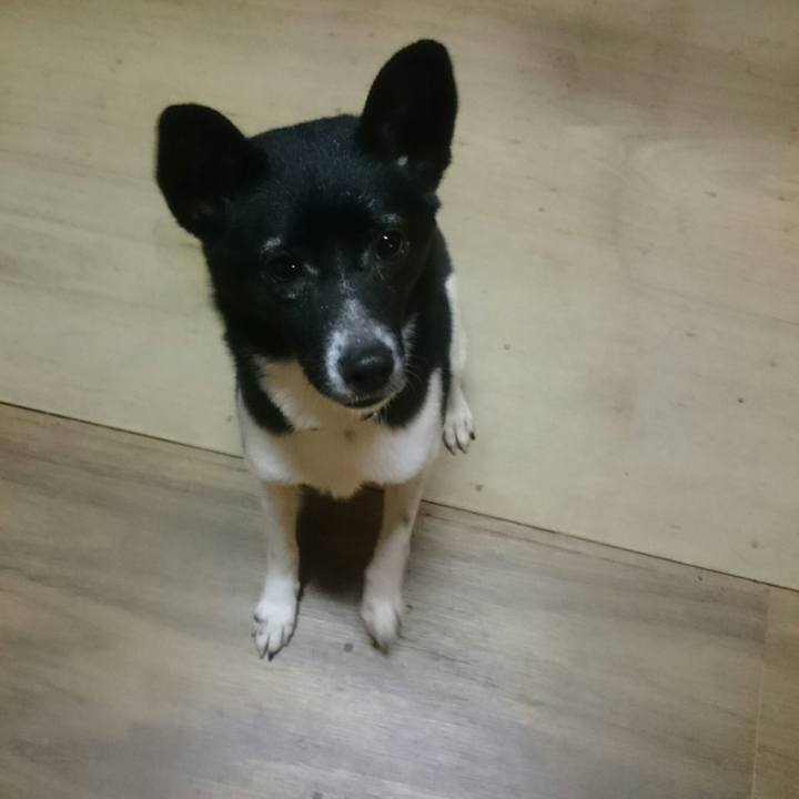 84e0d3e5 76d6 4f80 b7e2 f3a1605b2bd7