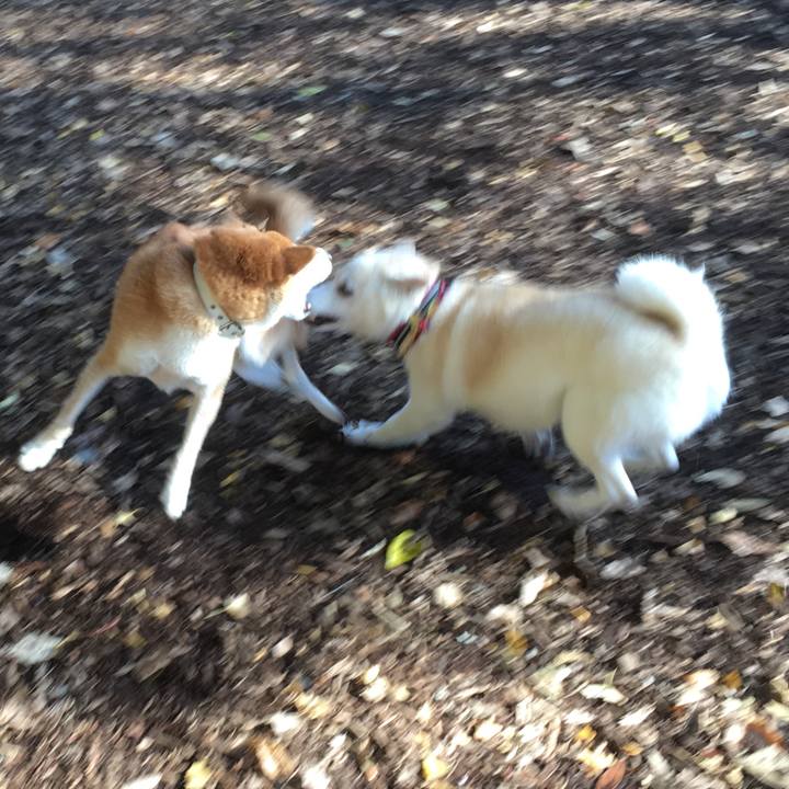 84e0eb7d deea 465b 9a4e 9ef7885c0dee