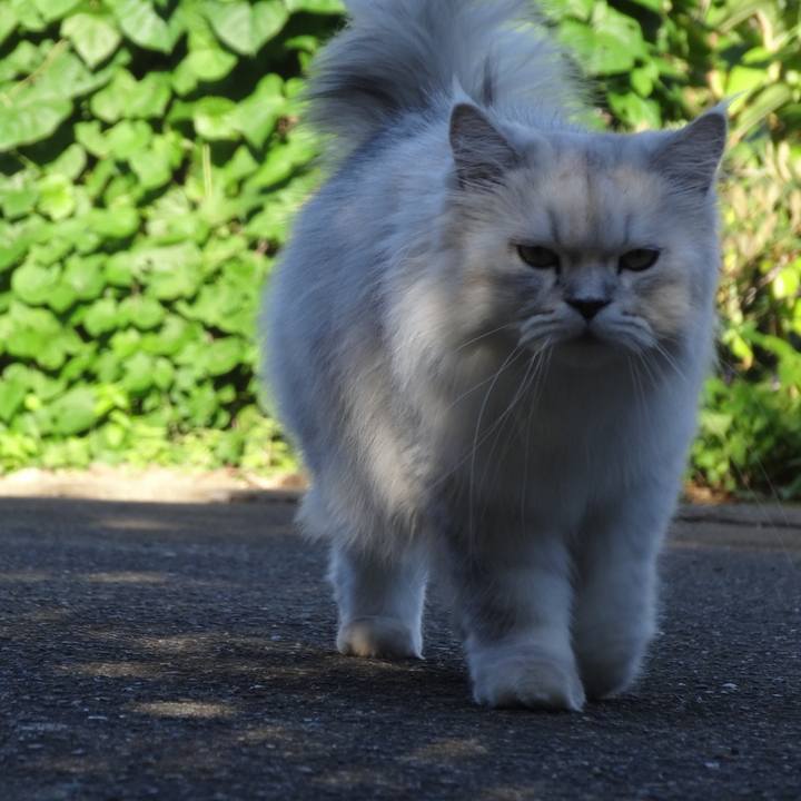 84e2d4a2 a3b7 4a35 9cd5 f76bd1d4ab96