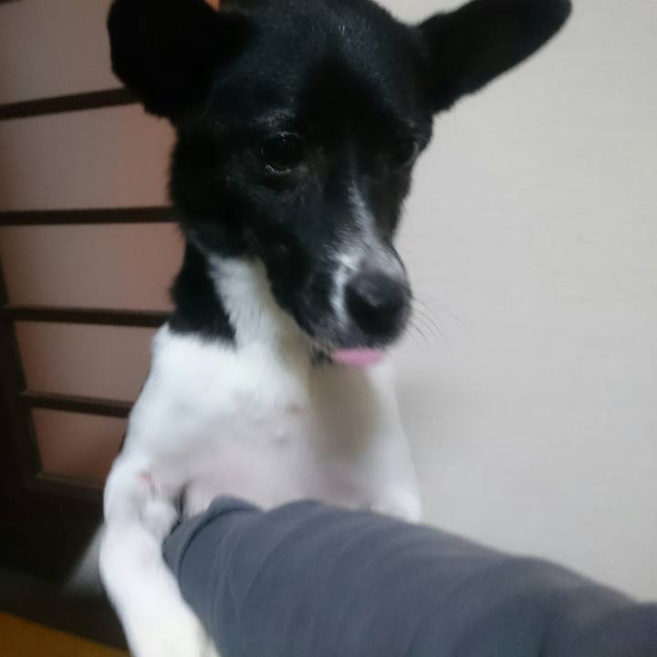 84e3058c 68bd 4825 878c 1e4ab604c22e