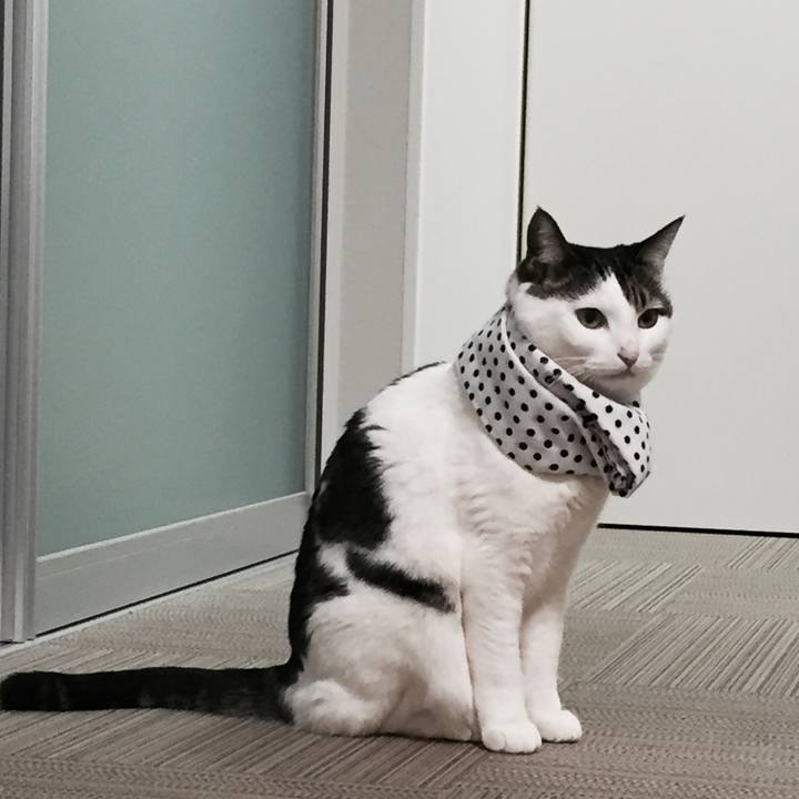 84e41b92 ea3d 4f90 a56c 45785f76b43e