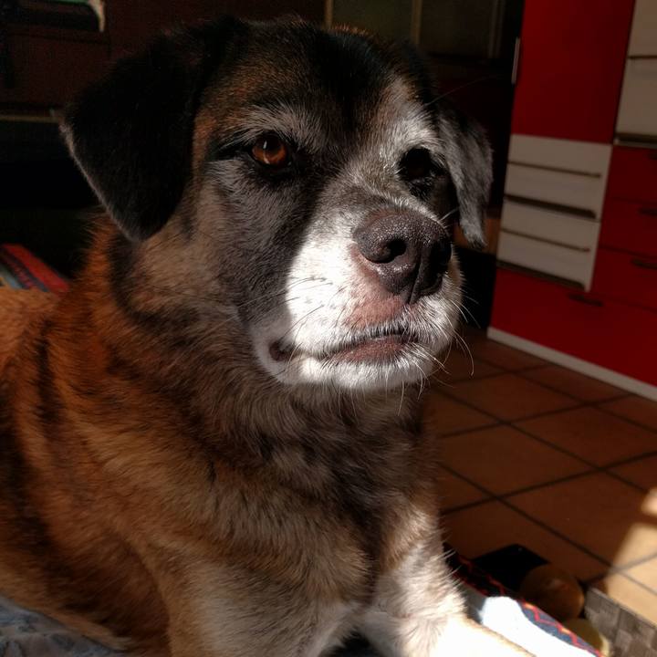 84e41e5a abe7 4f1b 9e13 6f410ec5e2f2