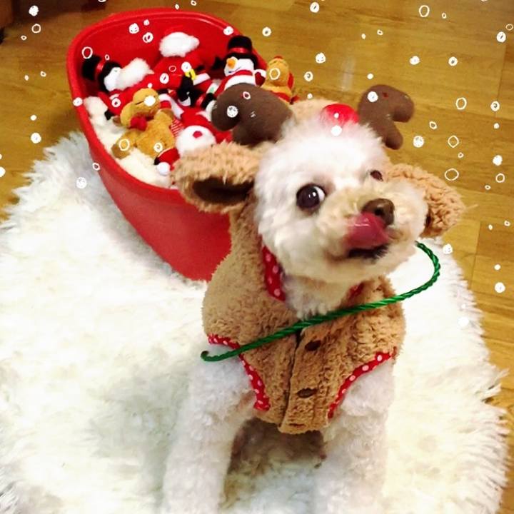 84e4edaa ff80 4a10 9756 0ea3eeb8fd48