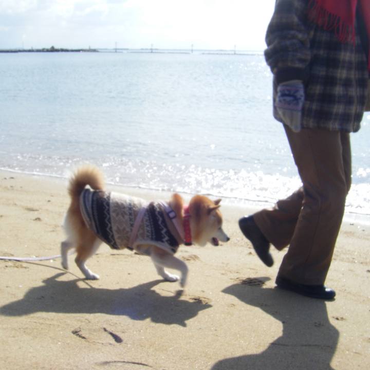 84e5836a 0874 46c4 9ddb b529134f1d95